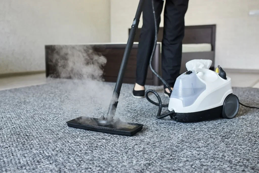 steam carpent cleaning